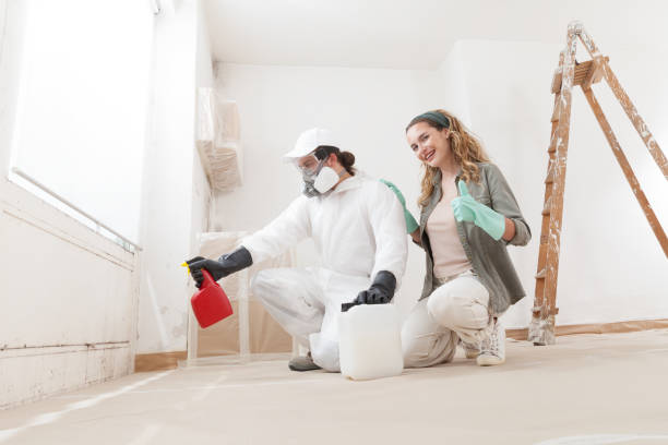 Mold Remediation for Vacation Homes in Knoxville, IL